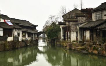 动物帮帮忙保卫家园